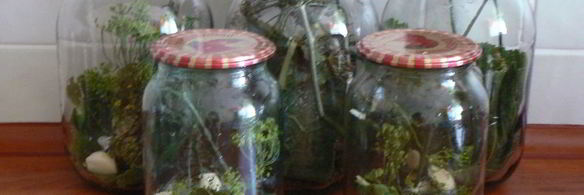 хрустящие огурцы