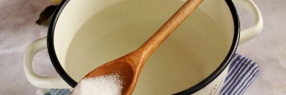 компот из антоновки на зиму