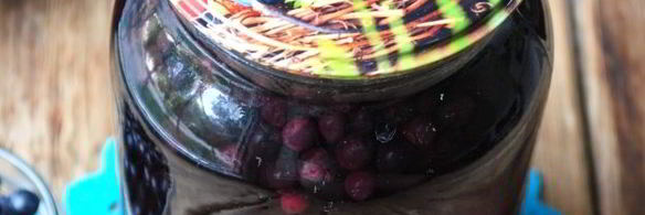 компот из черники