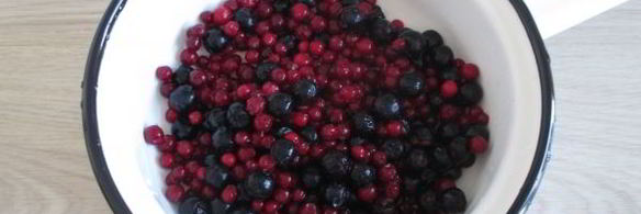 компот из черноплодной рябины и брусники