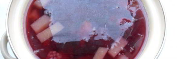 компот из дыни и ежевики