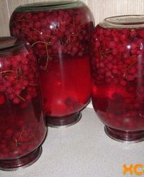 Компот из красной смородины на зиму