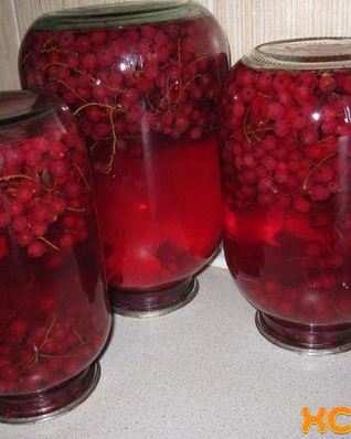 Компот из красной смородины на зиму