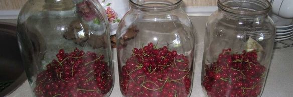 компот из красной смородины на зиму