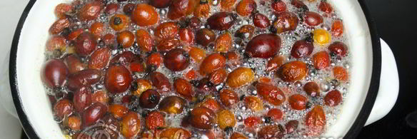 компот из шиповника