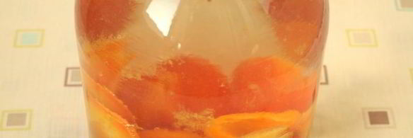 компот из слив и абрикос