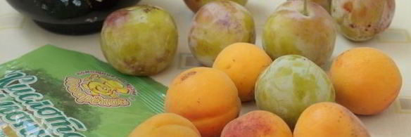 компот из сливы и абрикоса на зиму