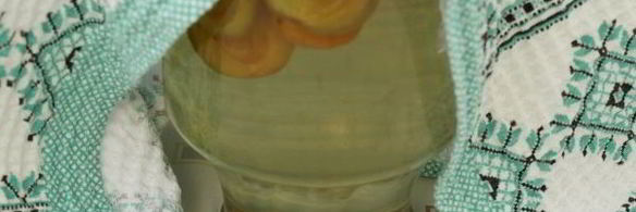 компот из сливы и абрикоса на зиму