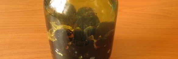 компот из терна на зиму