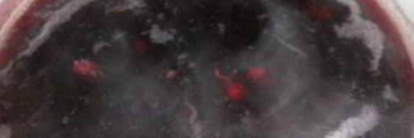 компот из варенья вишневого