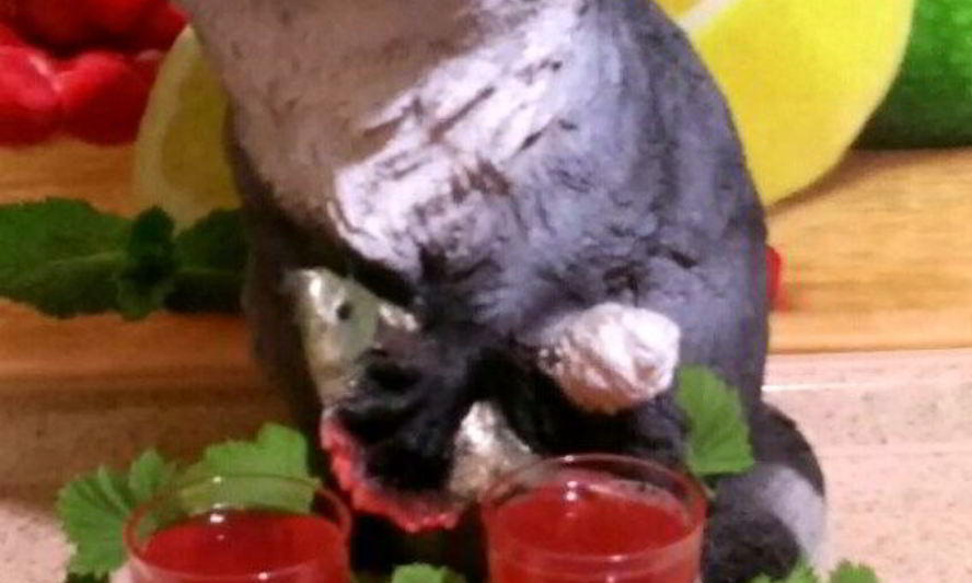 Рецепт компота из замороженной смородины и малины