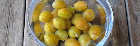 компот из желтой сливы на зиму