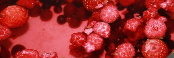 компот летний