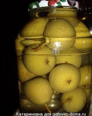 Компот Проводница