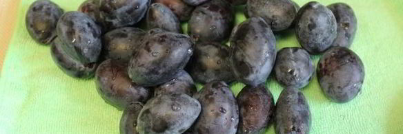 сливовый компот с косточками на зиму