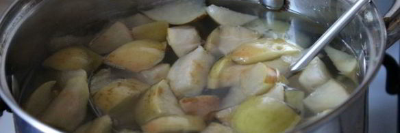 яблочный компот с киви и лимоном