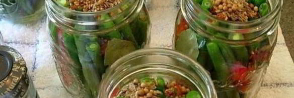 консервированная фасоль на зиму