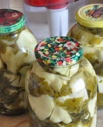 Консервированные патиссоны без уксуса