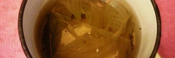 квашеные арбузы