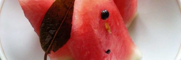 квашеные арбузы