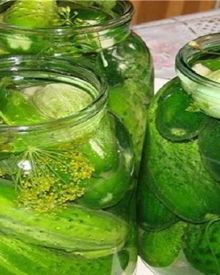 Квашеные огурцы на зиму