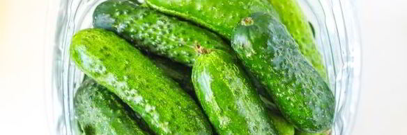 квашеные огурцы с горчицей