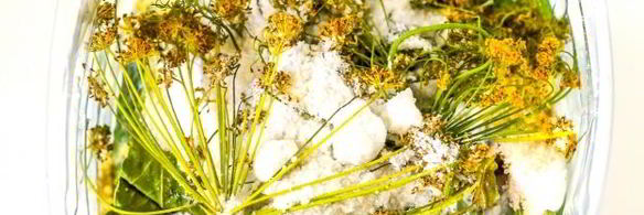 квашеные огурцы с горчицей