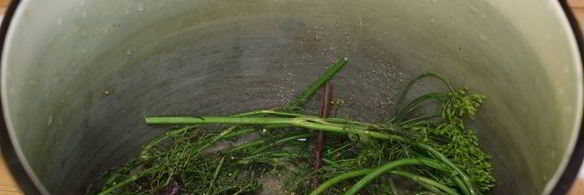 квашеные помидоры