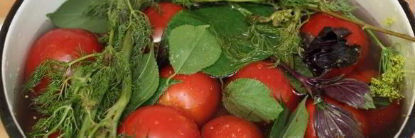 квашеные помидоры