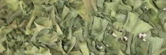 лук-порей на зиму