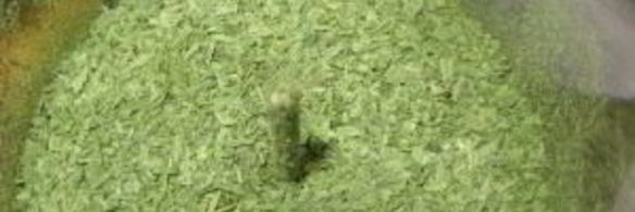 лук-порей на зиму