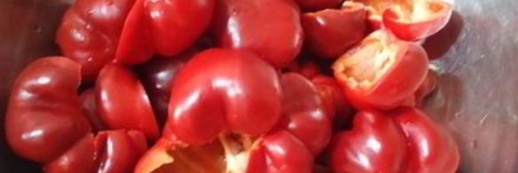 баклажаны маринованные с цветной капустой и гогошарами