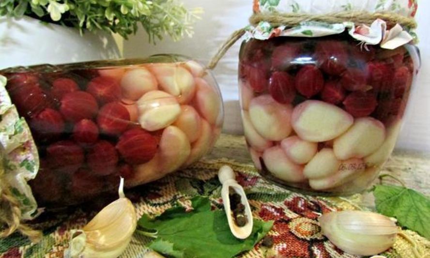 Рецепт чеснока маринованного с крыжовником