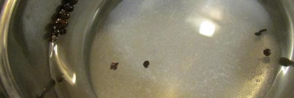 чеснок маринованный с крыжовником