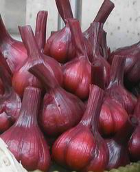 Чеснок маринованный со свеклой