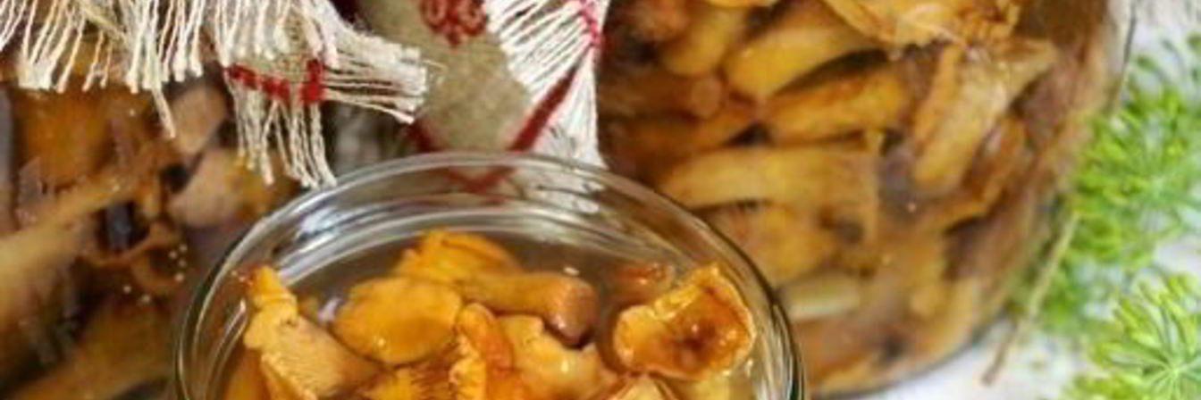 Лисички маринованные соленые