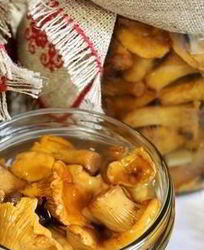 Лисички маринованные соленые