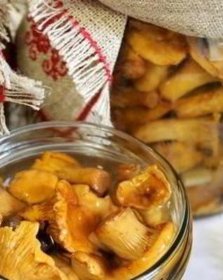 Лисички маринованные соленые