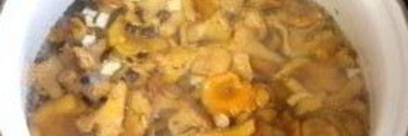 лисички маринованные соленые