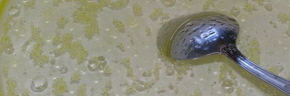 маринованная капуста с цитрусовой ноткой