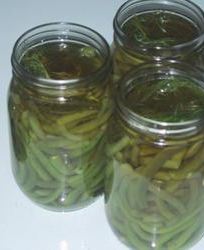 Маринованная стручковая фасоль