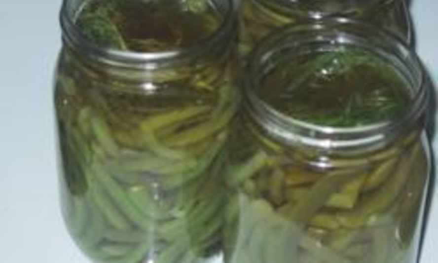 Рецепт маринованной стручковой фасоли