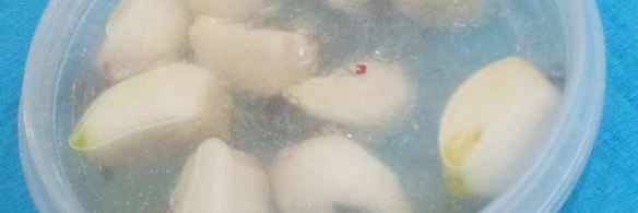 маринованный чеснок