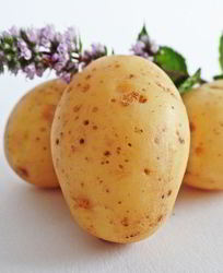 Маринованный картофель на зиму