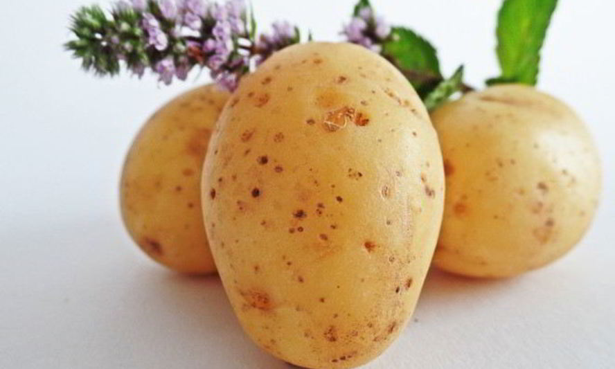 Рецепт маринованного картофеля на зиму