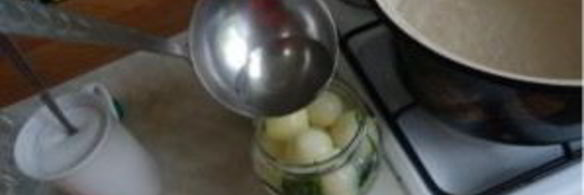 маринованный репчатый лук на зиму