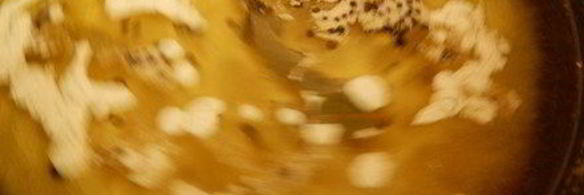 маринованный сладкий перец