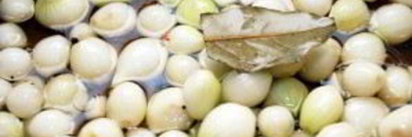 маринованный в уксусе лук на зиму