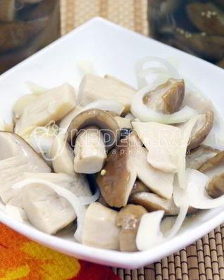 Маринованные белые грибы на зиму