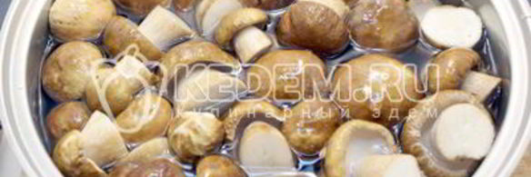 маринованные белые грибы на зиму